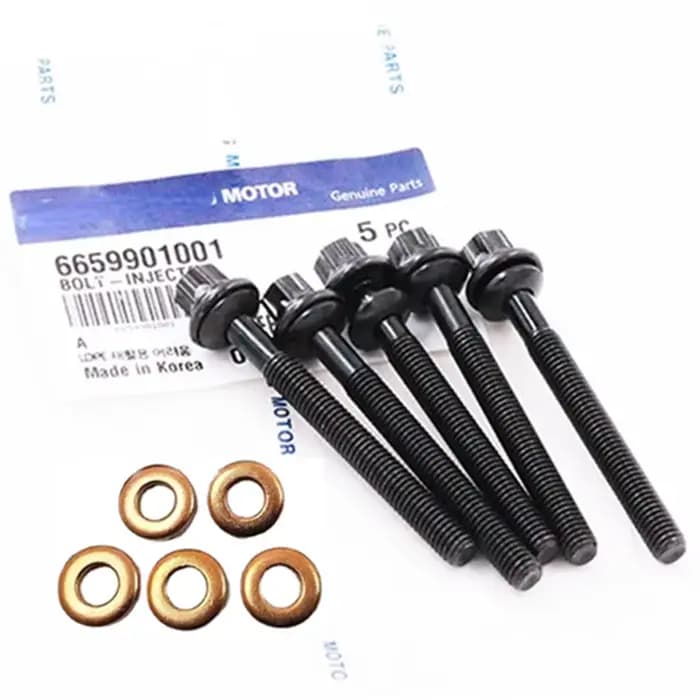 Boulons d'injecteur de carburant + rondelle OEM, pour SSANGYONG ACTYON SPORTS 100 2.0 L TD 665017006