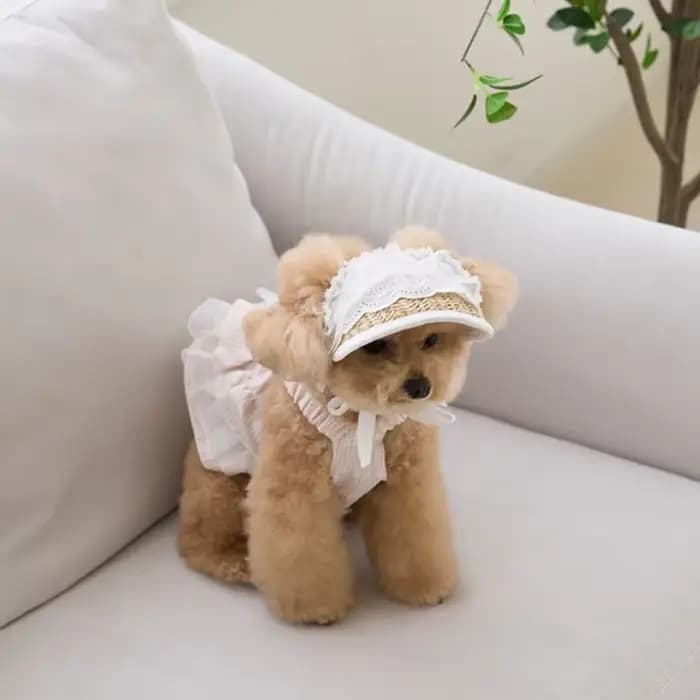 Chapeau de paille en dentelle française pour chien, accessoires décoratifs élégants pour animaux de compagnie, crème solaire d'été, robe Lolita, ours en peluche