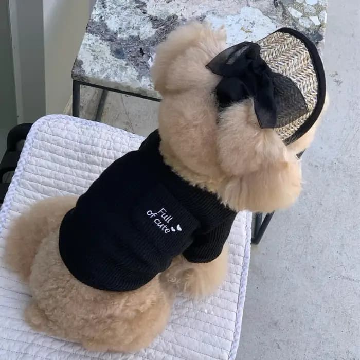 Chapeau de paille en dentelle française pour chien, accessoires décoratifs élégants pour animaux de compagnie, crème solaire d'été, robe Lolita, ours en peluche