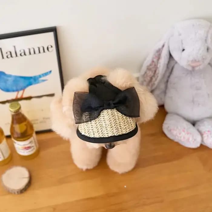 Chapeau de paille en dentelle française pour chien, accessoires décoratifs élégants pour animaux de compagnie, crème solaire d'été, robe Lolita, ours en peluche