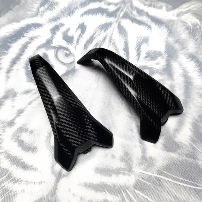 Nouveau pour BMW R1300GS R 1300 GS 2023-2025 véritable Fiber de carbone garde de moteur couvercle de culasse protecteur accessoires de moto
