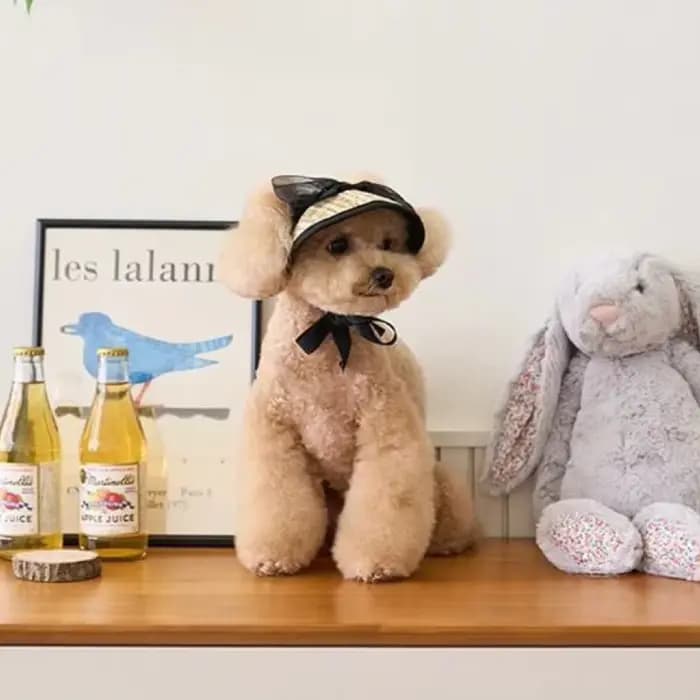 Chapeau de paille en dentelle française pour chien, accessoires décoratifs élégants pour animaux de compagnie, crème solaire d'été, robe Lolita, ours en peluche