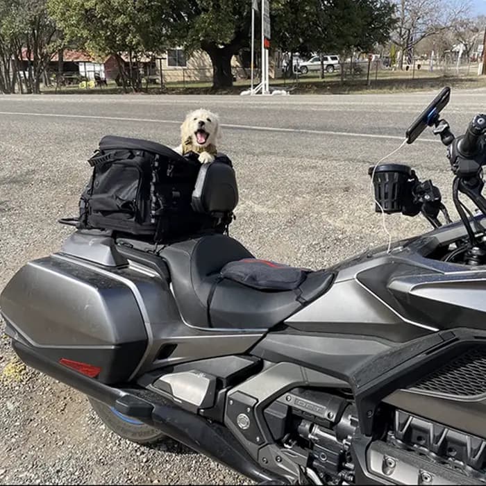 Sac de support d'équitation pour moto