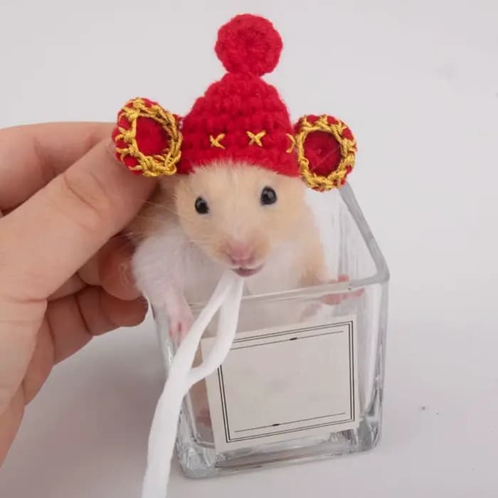 Accessoires pour animaux de compagnie, chapeau de Hamster de dessin animé, doux, fait à la main, tricoté, réglable, petits casquettes pour animaux de compagnie, photographie