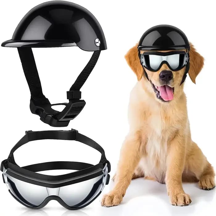 Ensemble de lunettes de soleil et de casque pour animaux de compagnie, protection contre la poussièr