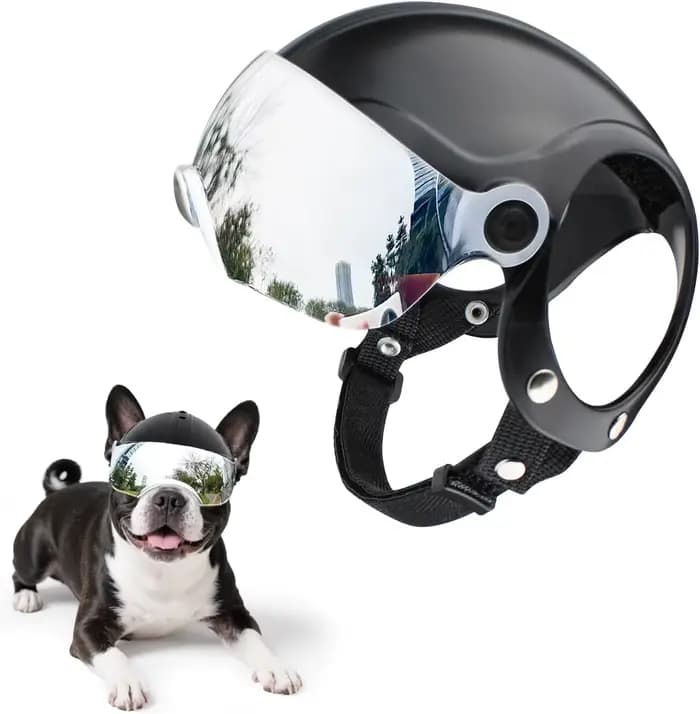 Casque pour chien de petite race, casque de moto pour animaux de compagnie avec visière argentée rab