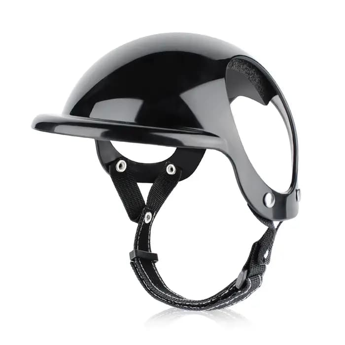 Casques pour animaux de compagnie, accessoires pour chats et chiens, lunettes de moto, casque de séc