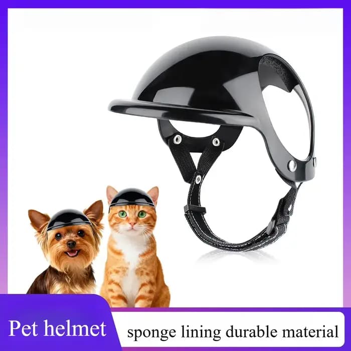 Casques pour animaux de compagnie, accessoires pour chats et chiens, lunettes de moto, casque de sécurité pour petits chiens, casque de moto, fournitures pour chats