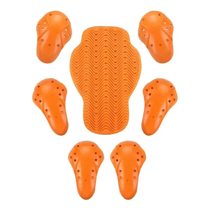 Protecteur de dos de moto