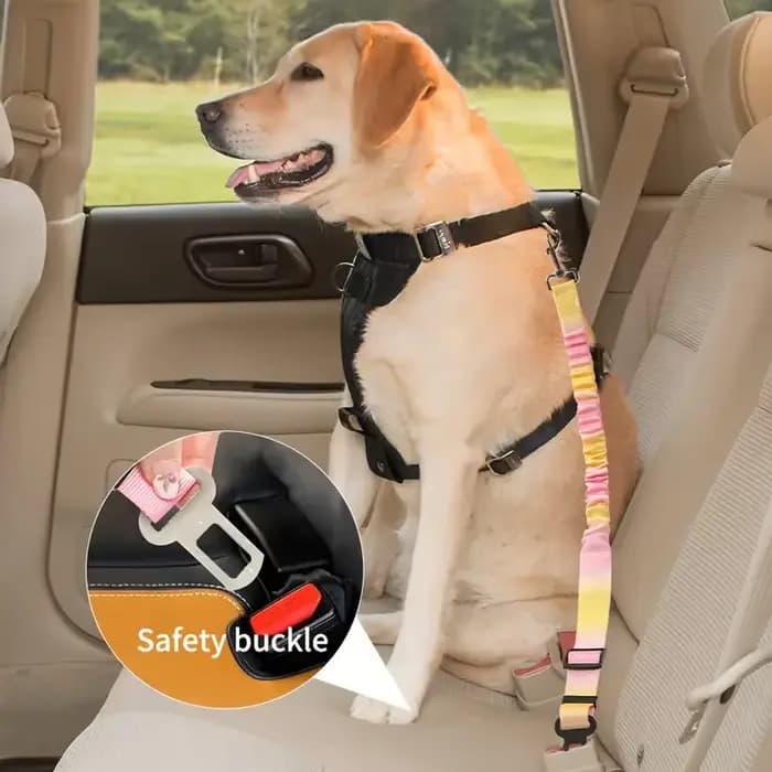 Ceinture de sécurité pour animaux de compagnie pour chiens, artefact de siège de voiture pour chiots de petite et moyenne taille, boucle de sécurité pour chats, fournitures de combat en peluche