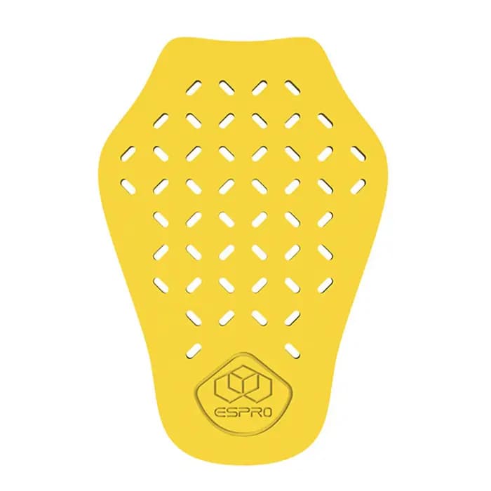 Armure de protection dorsale de moto