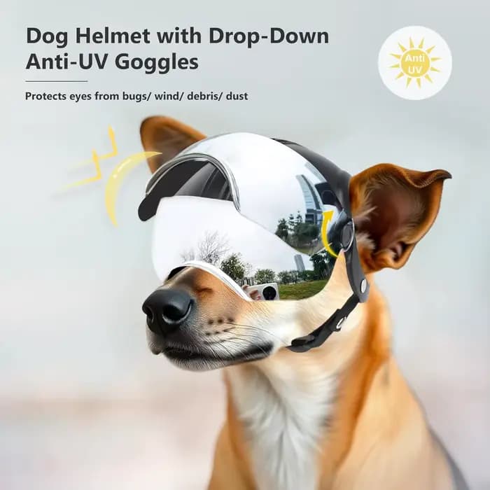 Casque pour chien de petite race, casque de moto pour animaux de compagnie avec visière argentée rabattable (sans rivets et avec rivets)