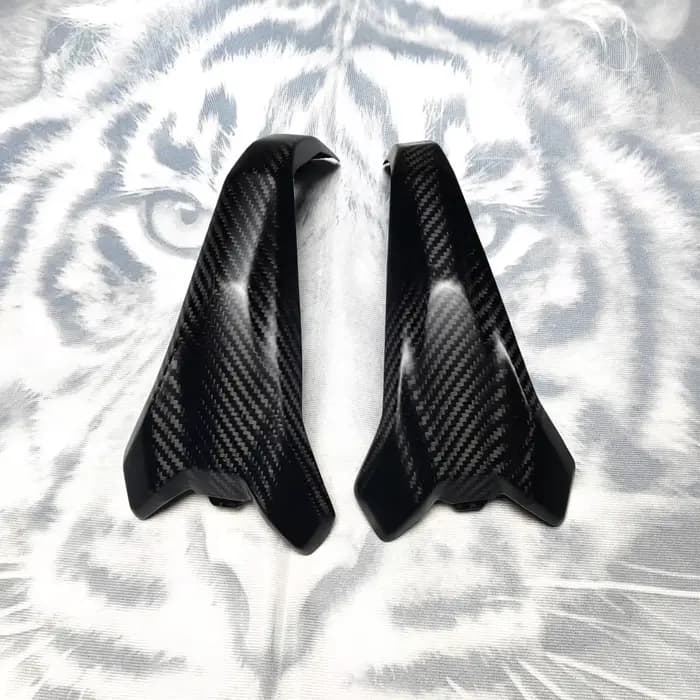 Nouveau pour BMW R1300GS R 1300 GS 2023-2025 véritable Fiber de carbone garde de moteur couvercle de culasse protecteur accessoires de moto