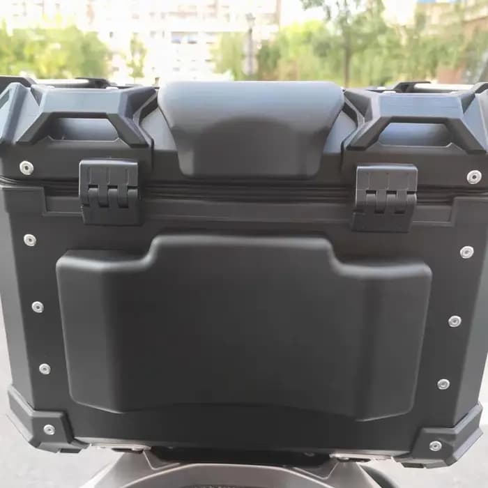 Coussin de dossier arrière pour moto